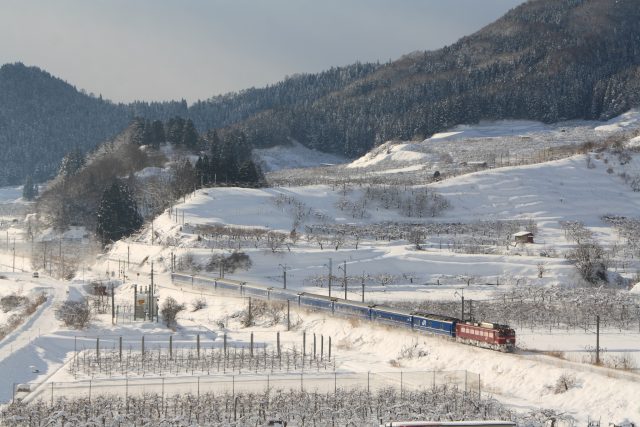 冬季小火車