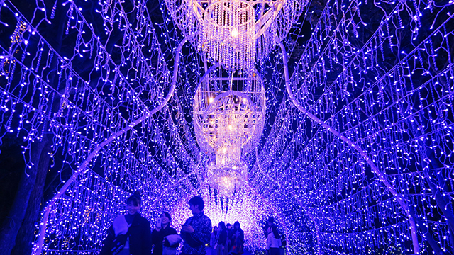 超美超魔幻的紫色燈光廊道。