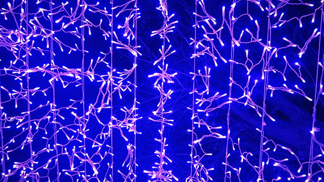 超美超魔幻的紫色燈光廊道。