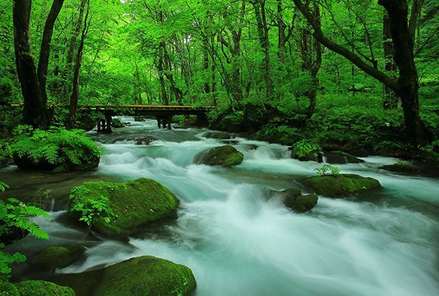 飛瀑水氣蒸騰，迷濛的森林景致，為奧入瀨平添一絲柔美浪漫。