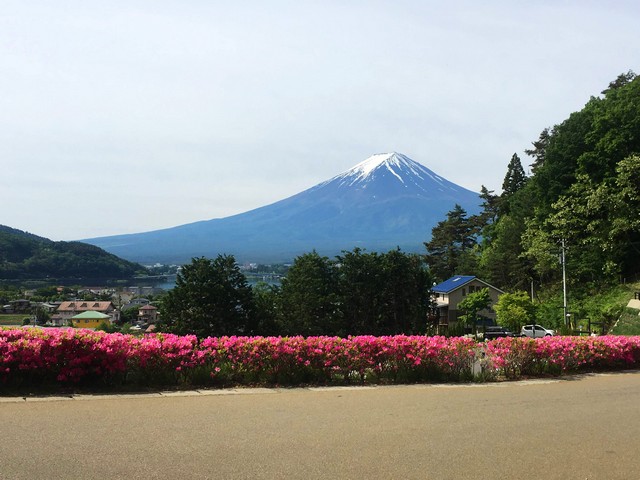 LA VISTA 富士山