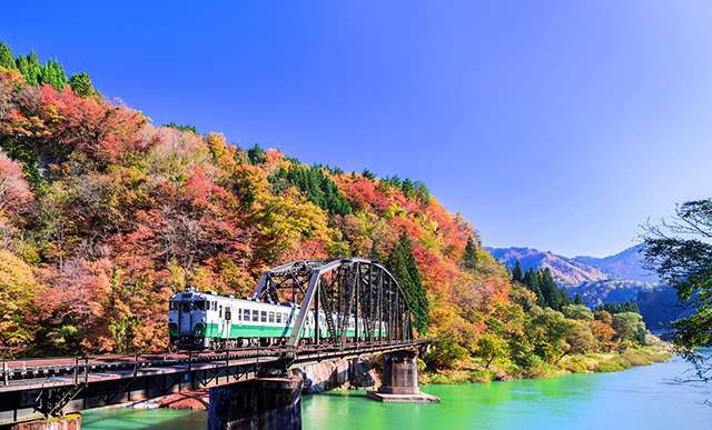 隨列車奔馳秋日豔彩山谷，貪看紅葉嫵媚姿態各異， 最美鐵道 當之無愧。