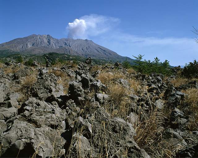 霧島屋久國立公園鋪滿火山熔岩。